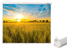 Экран для проектора Lumien Eco Picture LEP-100102, 180х180 см, 1:1, настенно-потолочный